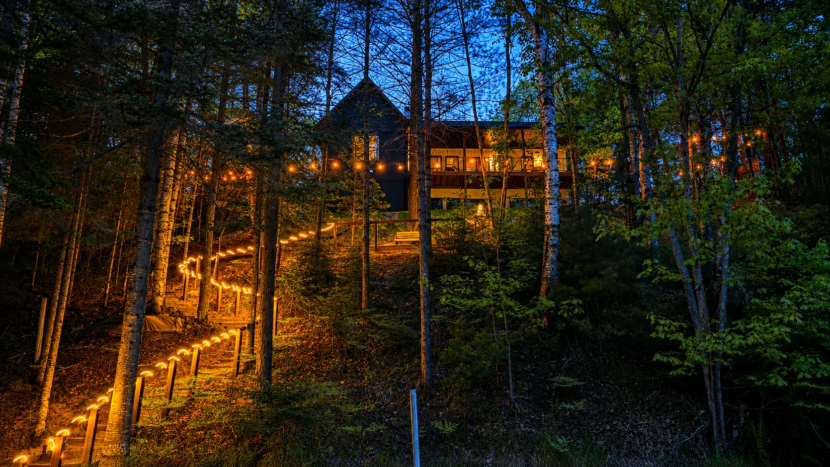 The illuminated woodland path leading to the cabin