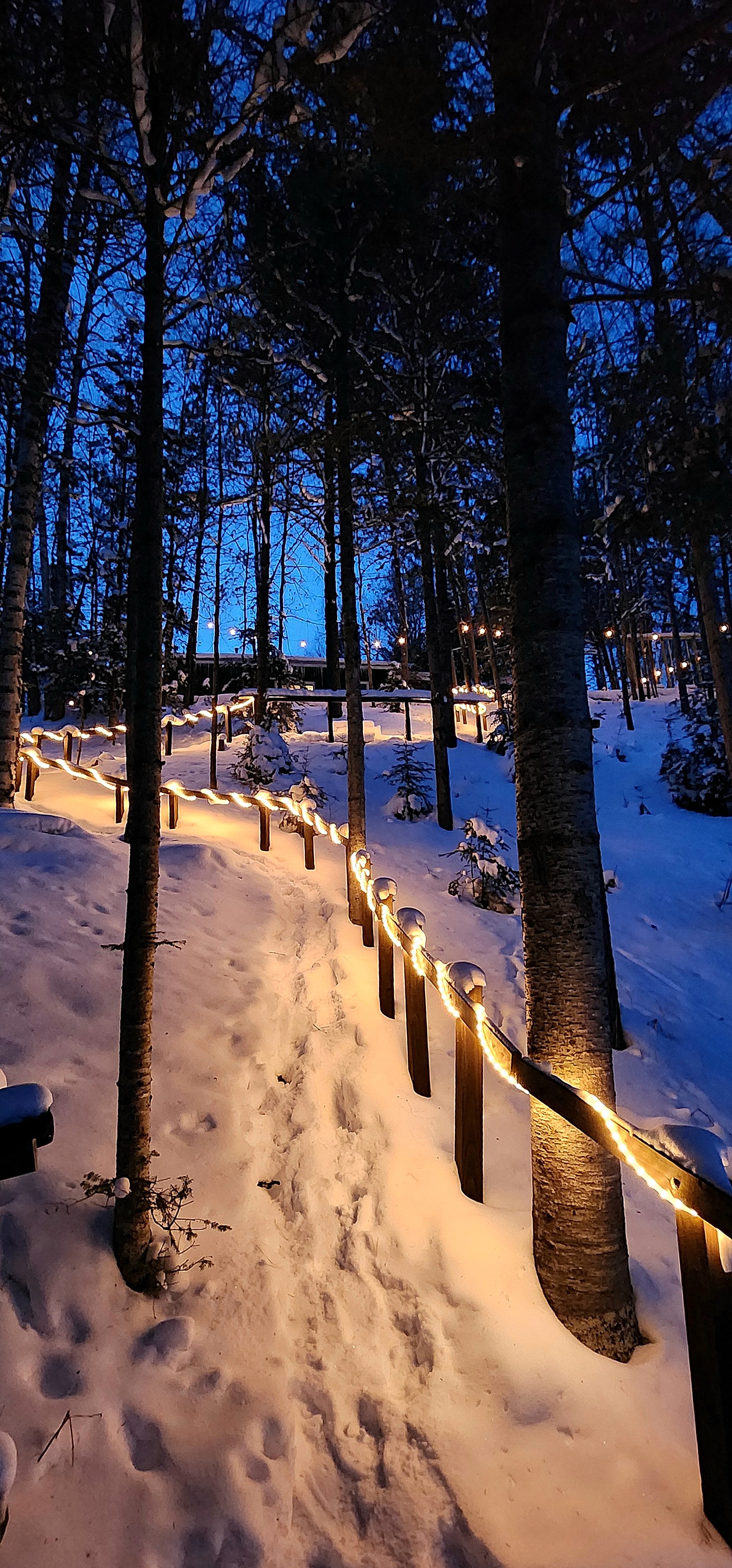 Snow-covered path through the Northwoods at The Cub House